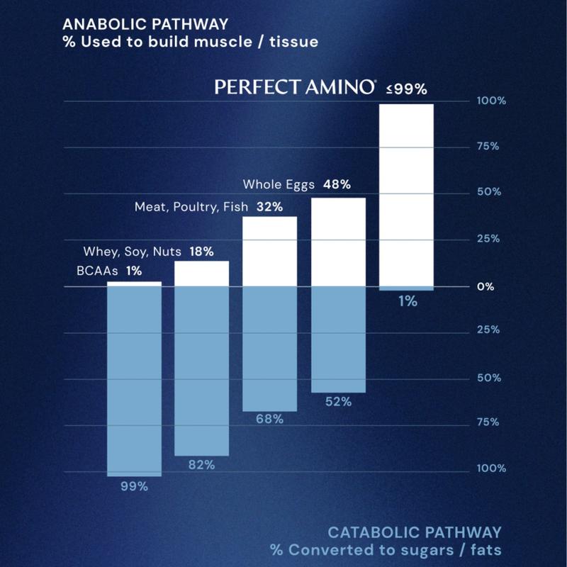 Perfect Amino Powder