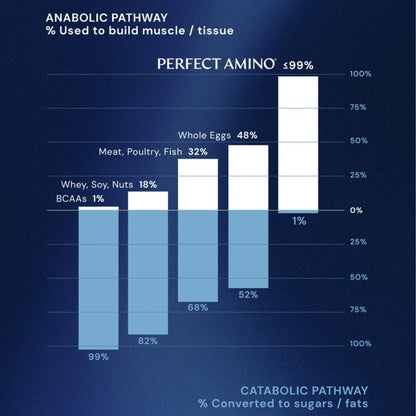 Perfect Amino Powder